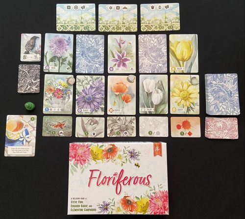 Game Overview: Floriferous, or Flowers Are More Than Their Parts