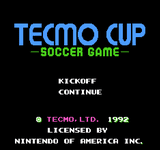 Video Game: Tecmo Cup Soccer Game