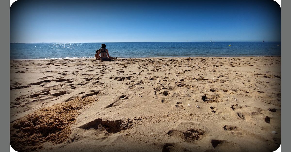 ...busy sunday in the kingdom... Browsing Games BoardGameGeek