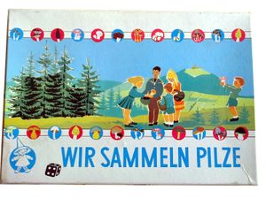 Wir sammeln Pilze