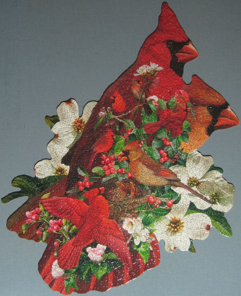 From gallery of Jude