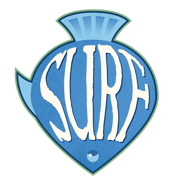 Village Pillage: Surf