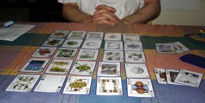 Quincunx