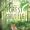 Forest Shuffle game