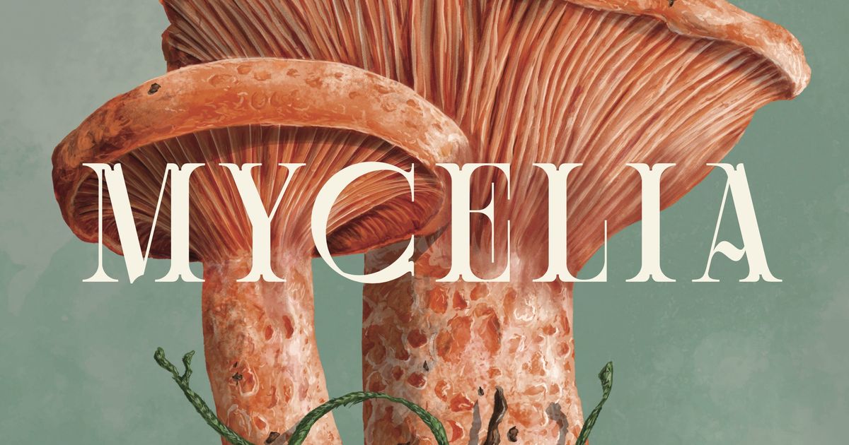 Mycelia Board Game BoardGameGeek
