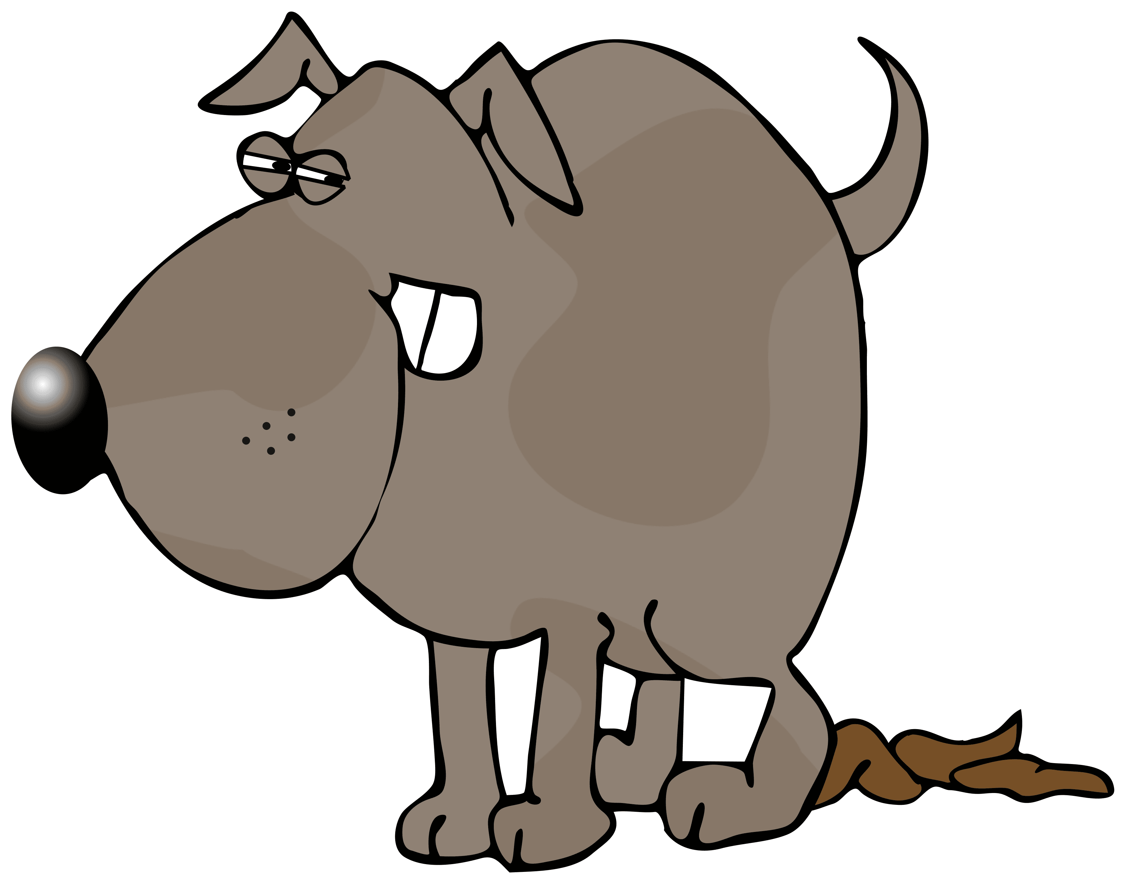 Dog Poop