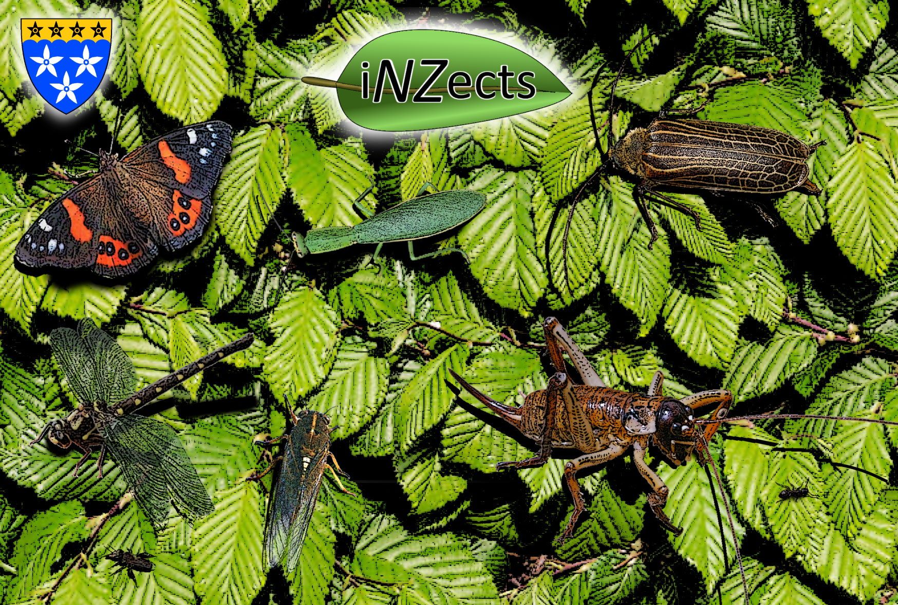 iNZects