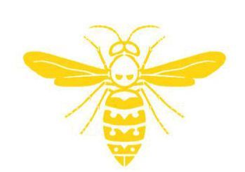 Queen Wasp (fan expansion for Hive)