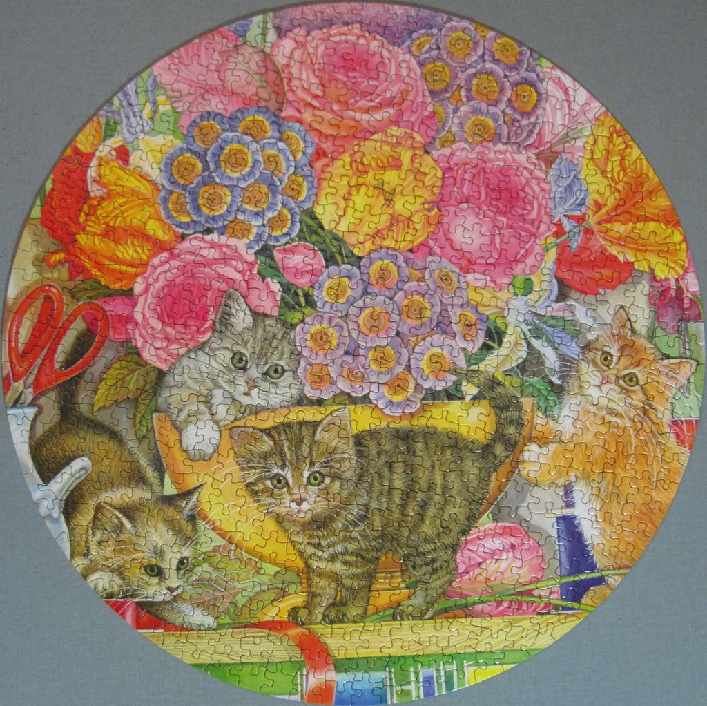 From gallery of Jude