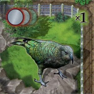 Zooloretto: Kea