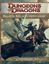 RPG Item: Forgotten Realms Campaign Guide