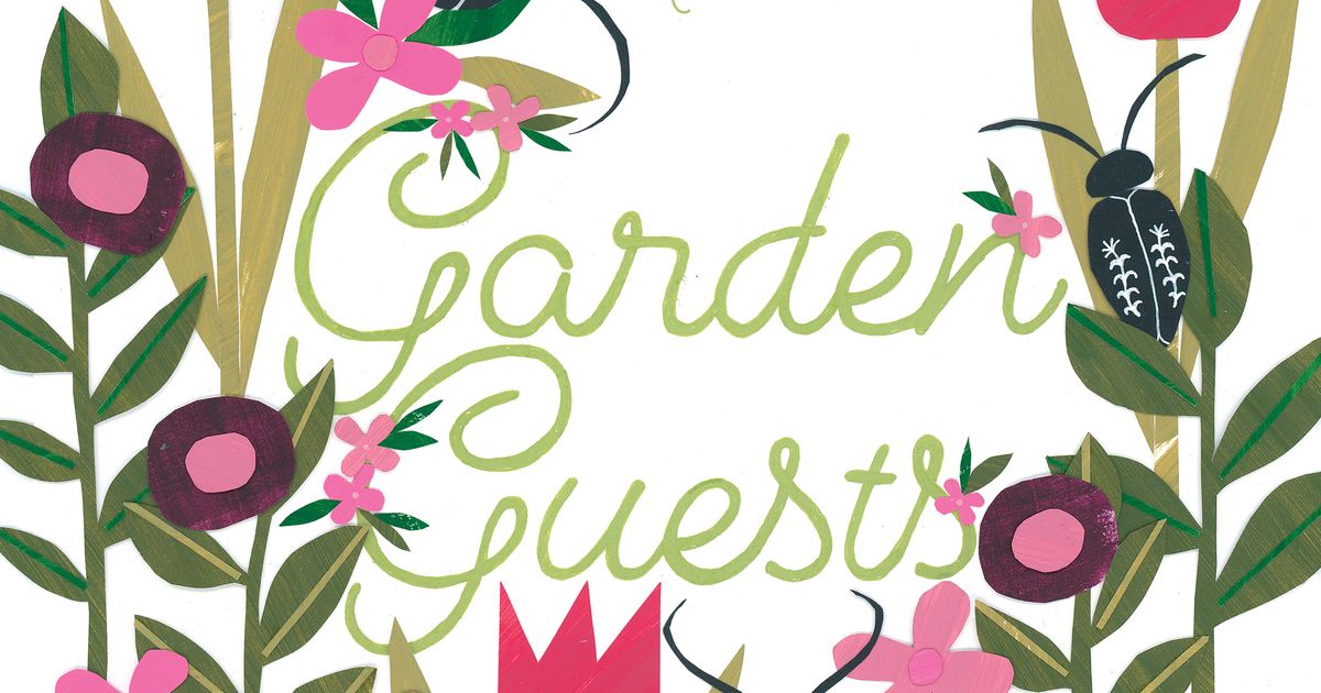 Garden Guests Board Game BoardGameGeek