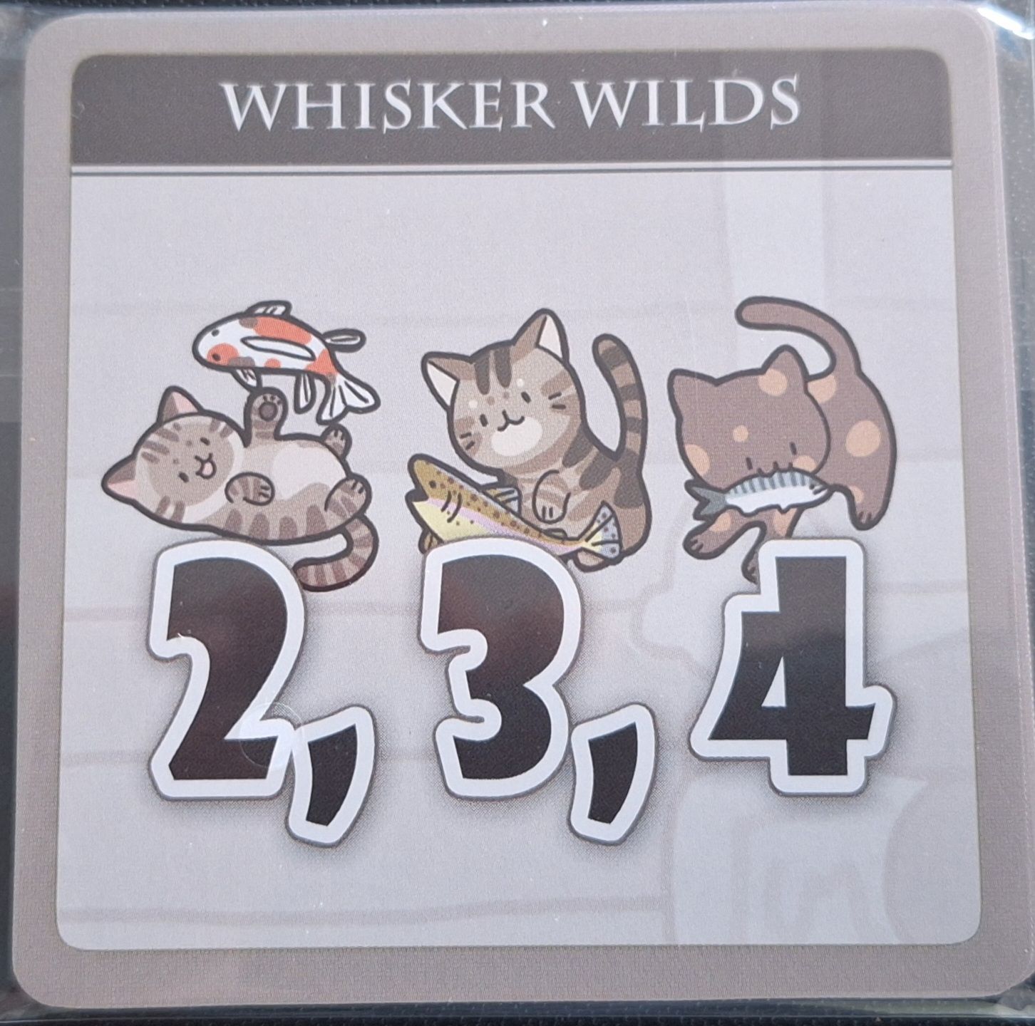 Cat Sudoku: Summer Festival – Whisker Wilds