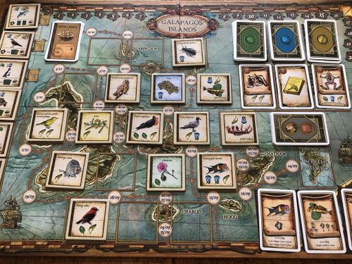 Top Ten Ecology or Environmentthemed Games BoardGameGeek