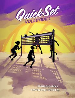 Quick Set Volleyball
