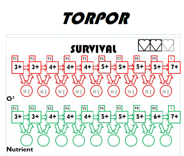 Torpor
