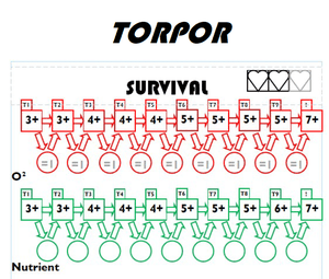 Torpor