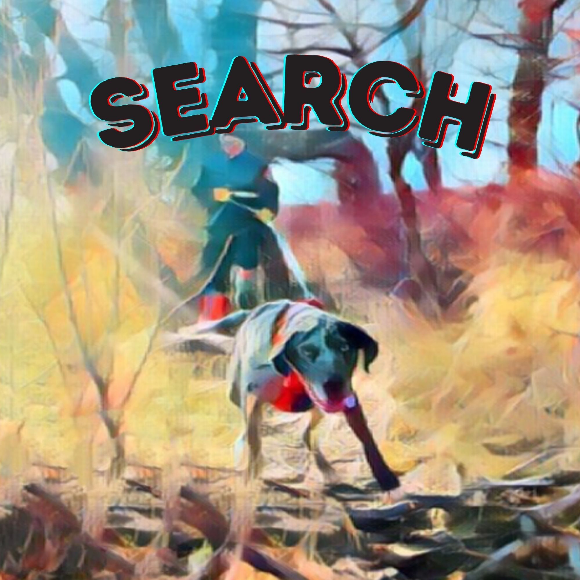 Search