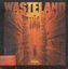 Video Game: Wasteland
