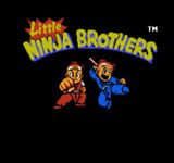Video Game: Little Ninja Brothers
