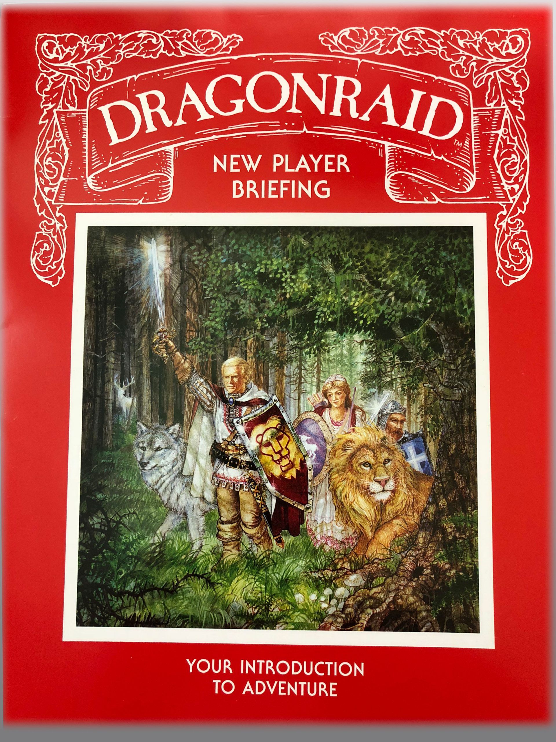 DragonRaid cover art