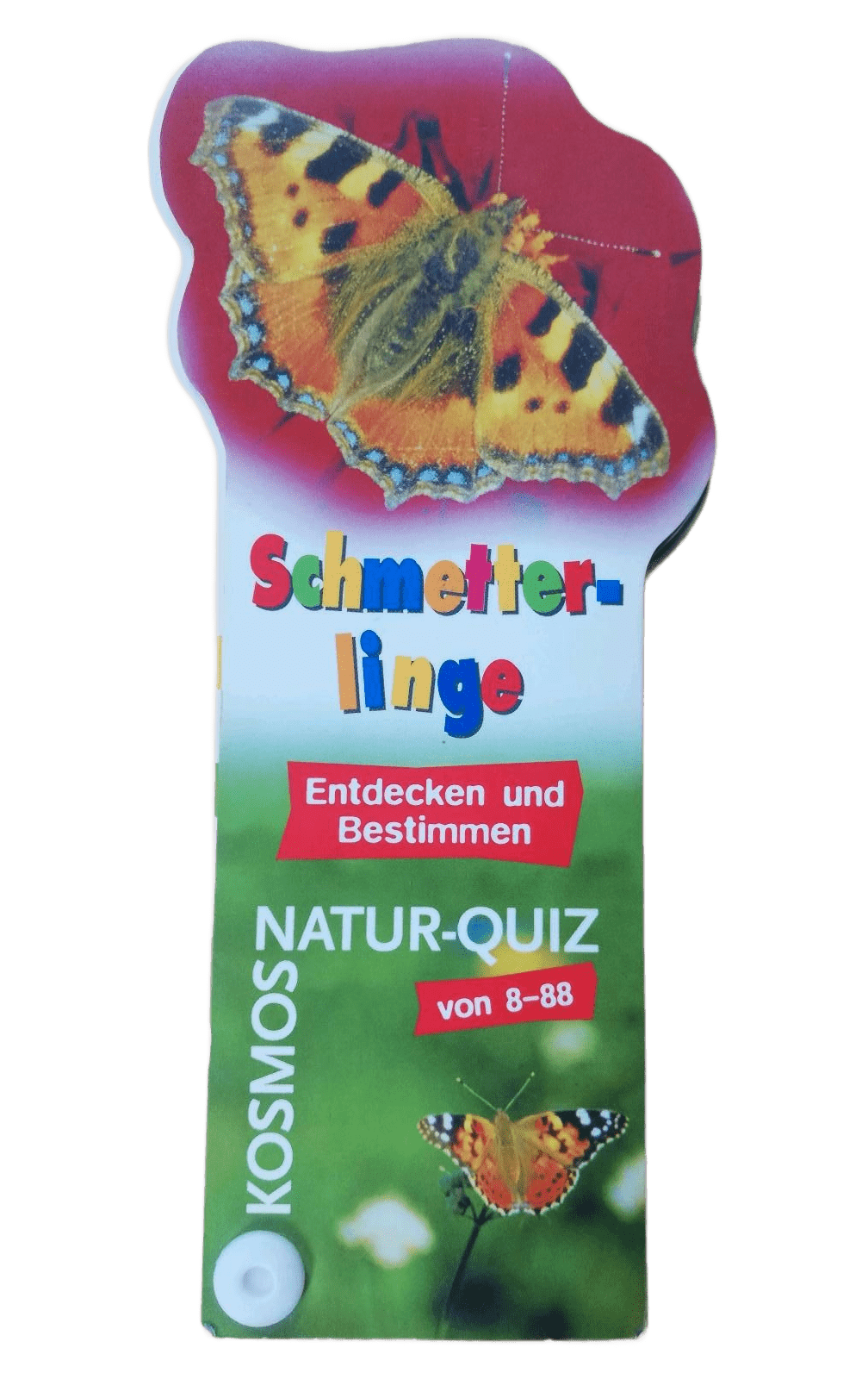 Schmetterlinge
