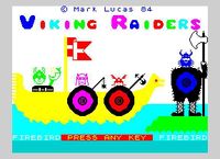 Video Game: Viking Raiders