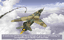 Character: Mikoyan-Gurevich MiG-23
