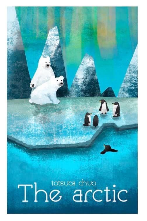 The Arctic - Photo 1