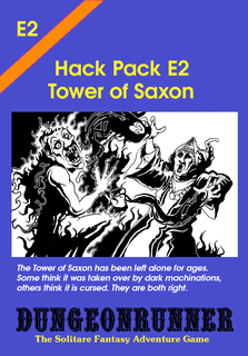 Dungeonrunner: Tower of Saxon