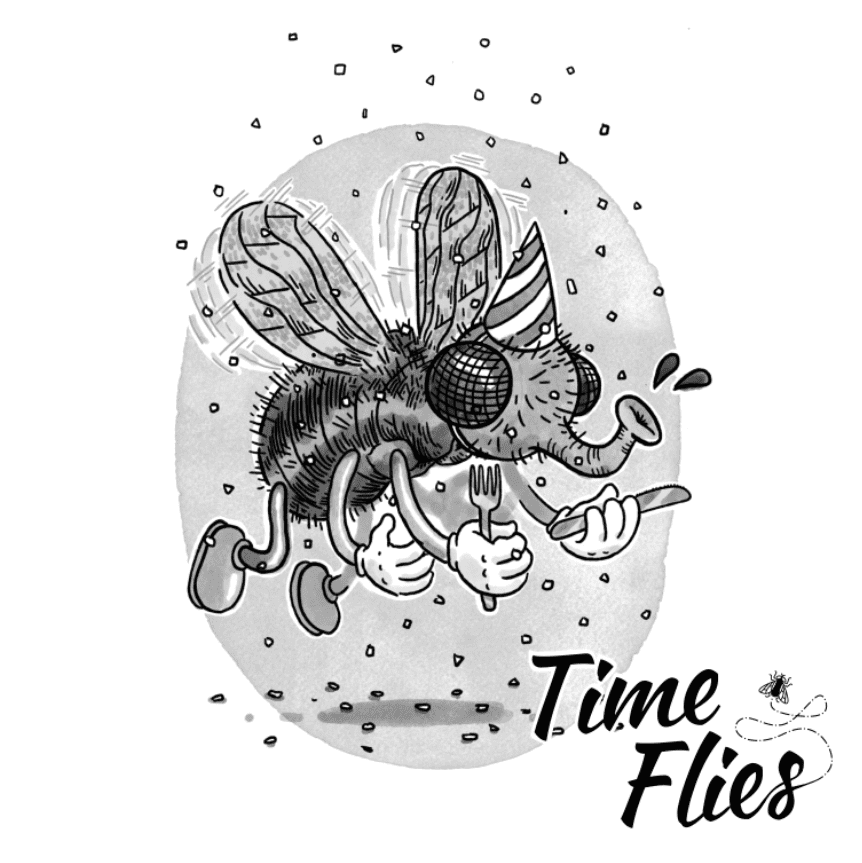 Time Flies cover