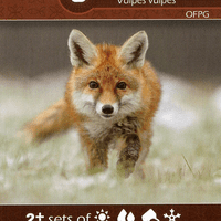 Earth: Red Fox/Badger Promo Card