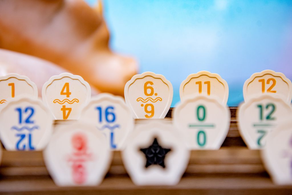 Shell We? - Review @ BoardGameColors | Shell We?