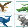 Concept Kids: Animals, Board Game