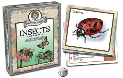 Professor Noggin's Insects and Spiders