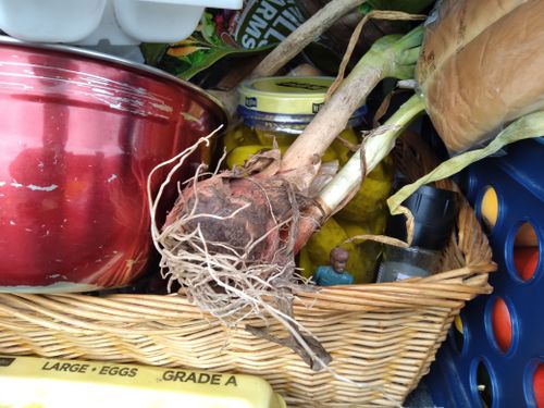 From gallery of trawlerman