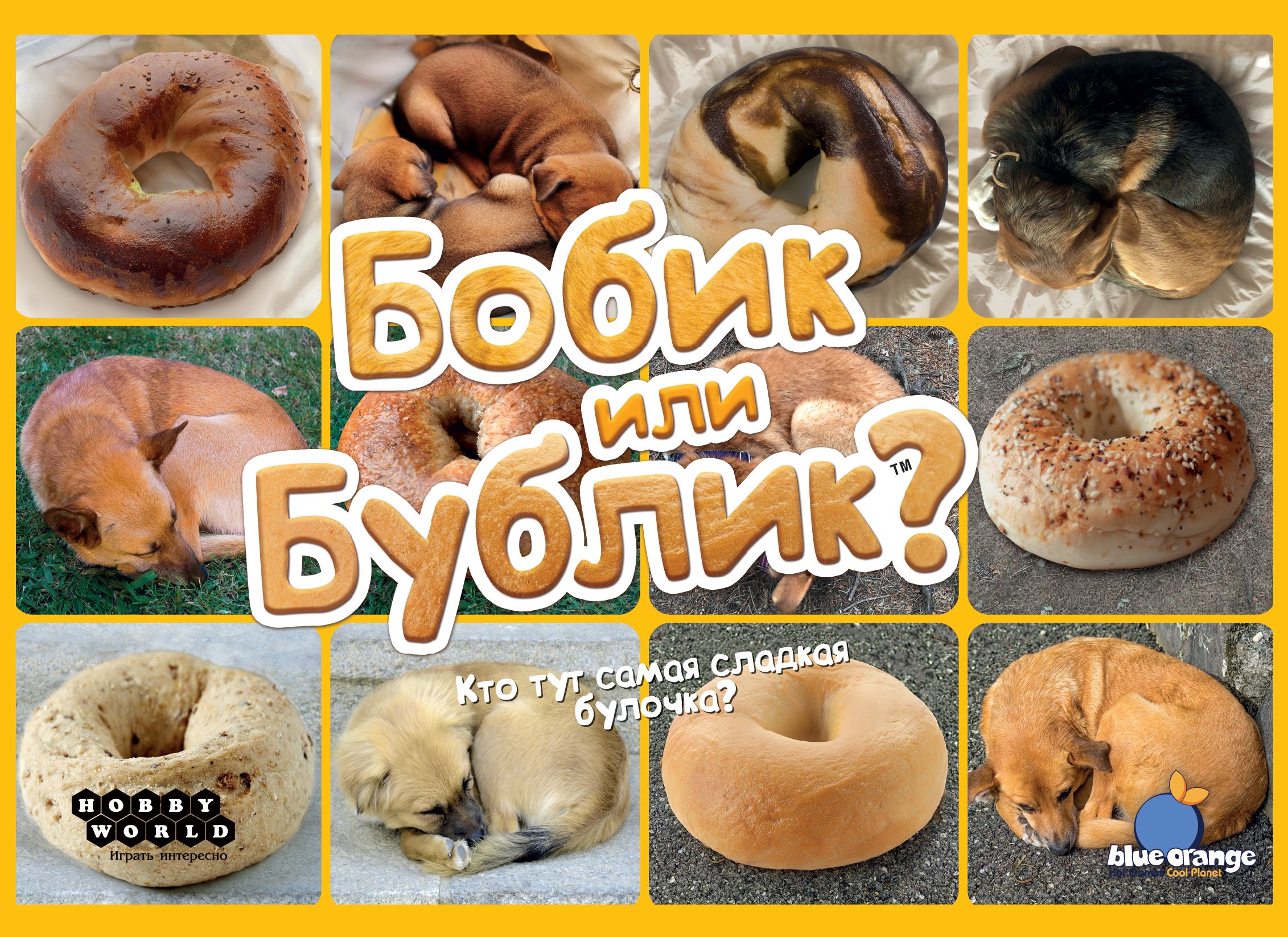 Бобик или бублик?