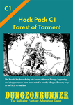 Dungeonrunner: Forest of Torment