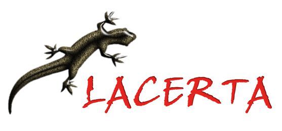 Lacerta