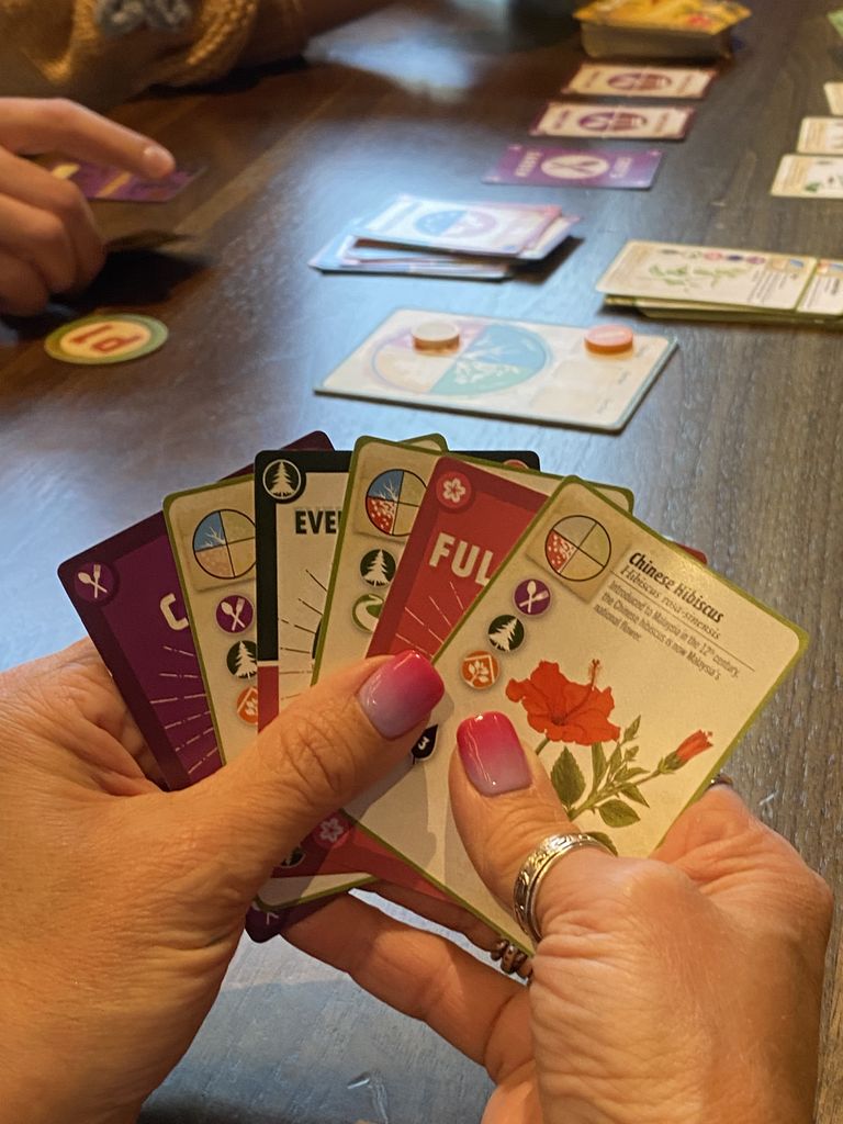 Illustration 6 de FloraVista: The Charming Botanical Garden Card Game 🌺