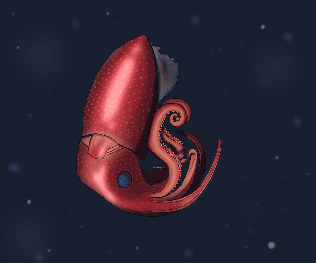 Illustration 9 de Abyssalia: Life in the Dark