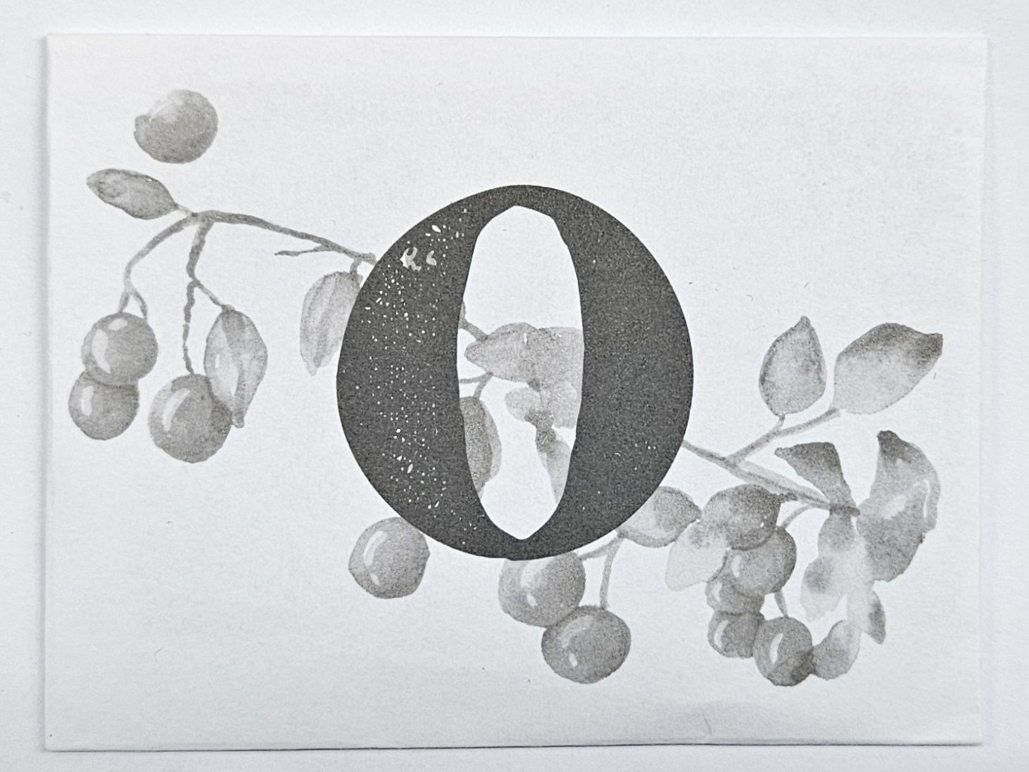 Meadow: Envelope O
