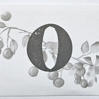 Meadow: Envelope O