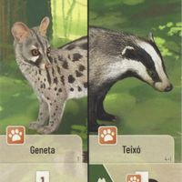 Embosca't: Geneta / Teixó Promo Card