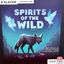 Board Game: Spirits of the Wild