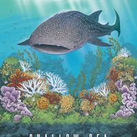 Shallow Sea: Rare Fish Mini-Expansion