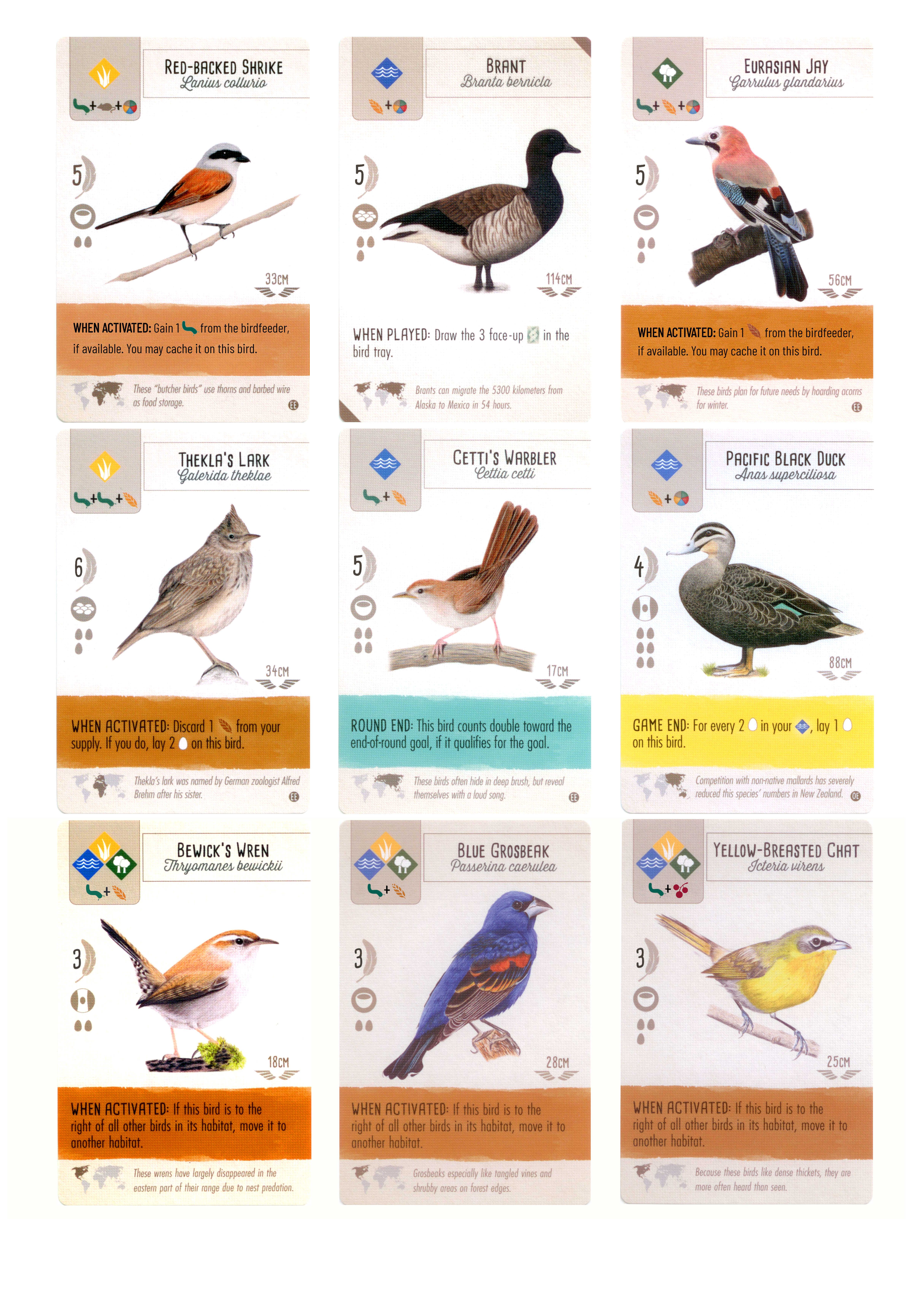 51 Official Birds that I modified for balance purposes (mostly) and due ...