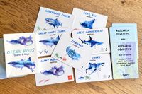 Ocean Pods: Sharks & Rays