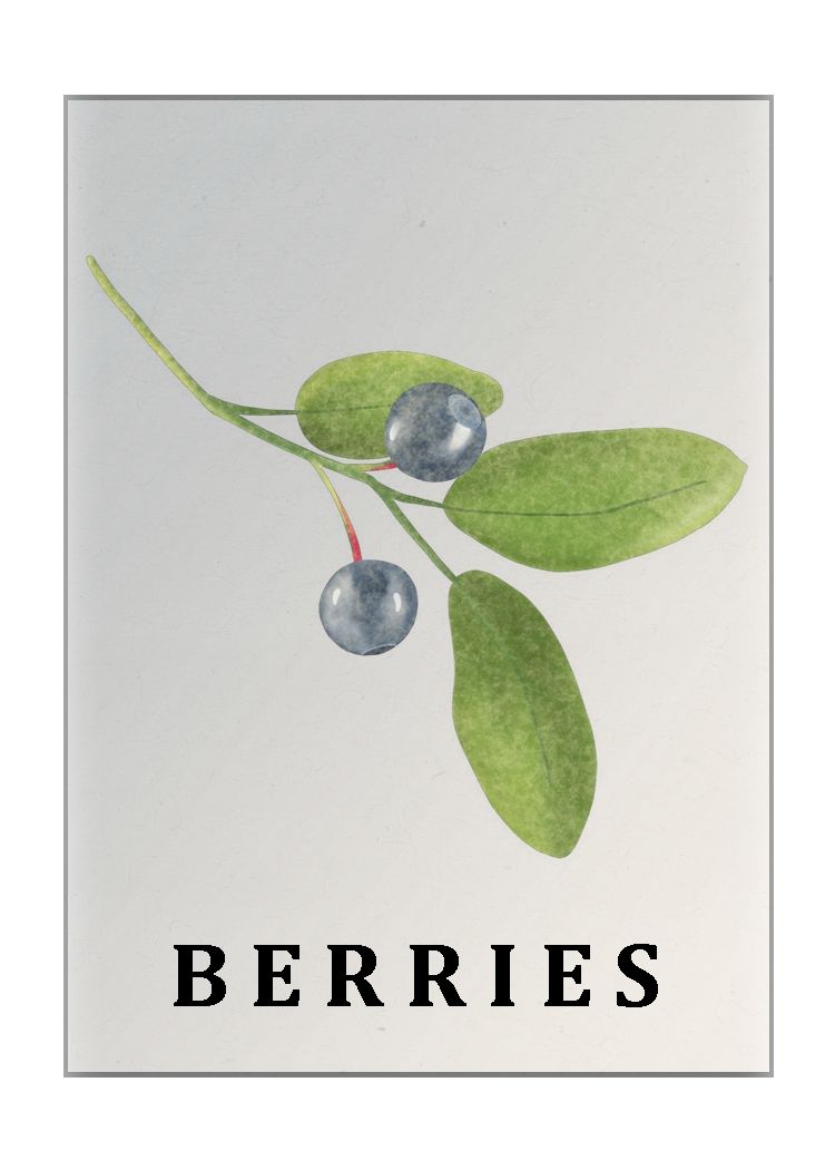 Berries