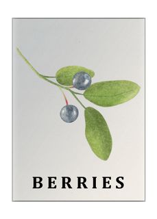 Berries